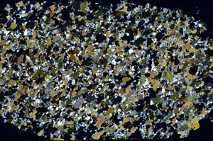 Cross Polarized, S61271