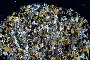 Cross Polarized, S61274