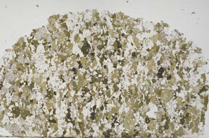 Plane Polarized, S61274