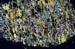 Cross Polarized, S61276