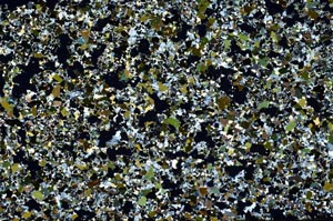 Cross Polarized, S61277