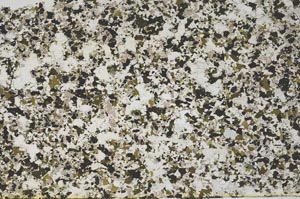 Plane Polarized, S61277