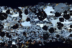 Cross Polarized, S61278