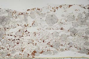 Plane Polarized, S61278