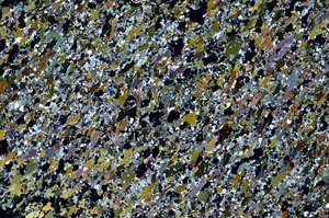 Cross Polarized, S61280