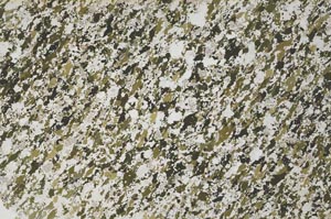 Plane Polarized, S61280