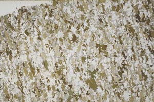 Plane Polarized, S61282