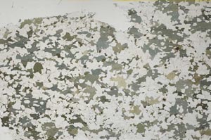 Plane Polarized, S61284