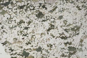 Plane Polarized, S61286