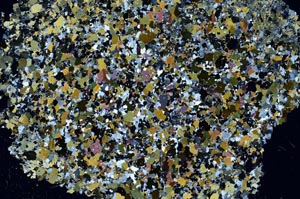 Cross Polarized, S61288