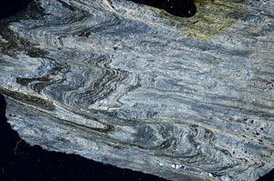 Cross Polarized, S61290