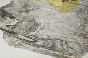 Plane Polarized, S61290