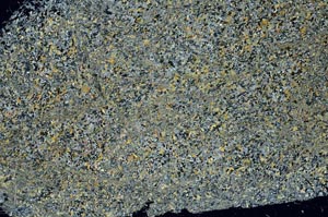 Cross Polarized, S61292