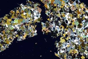 Cross Polarized, S61295