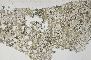 Plane Polarized, S61300