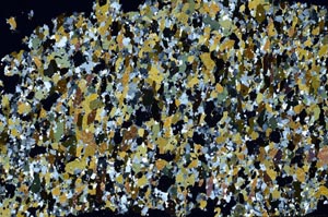 Cross Polarized, S61301