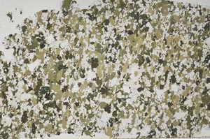 Plane Polarized, S61301