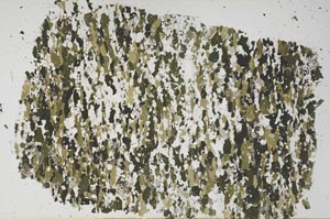 Plane Polarized, S61305