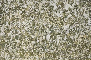 Plane Polarized, S61307