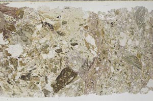 Plane Polarized, S61309