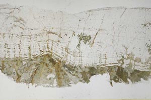 Plane Polarized, S61312