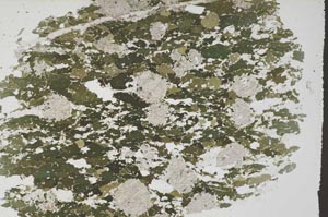 Plane Polarized, S61313