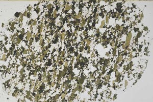 Plane Polarized, S61314