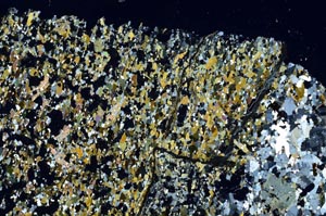 Cross Polarized, S61315