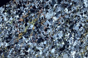 Cross Polarized, S61316