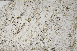 Plane Polarized, S61316