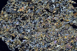 Cross Polarized, S61320