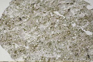 Plane Polarized, S61320