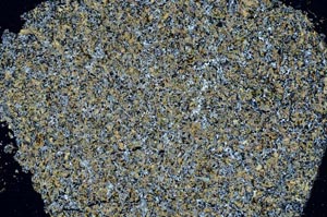 Cross Polarized, S61321