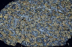 Cross Polarized, S61322