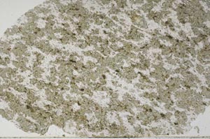 Plane Polarized, S61322