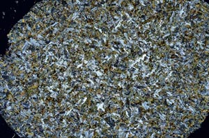 Cross Polarized, S61323