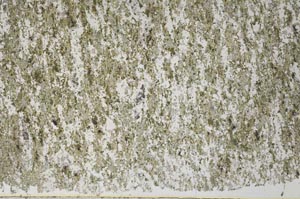 Plane Polarized, S61324