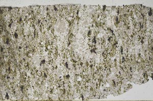 Plane Polarized, S61325