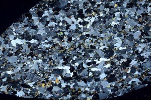 Cross Polarized, S61329