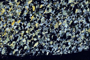 Cross Polarized, S61330