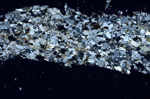 Cross Polarized, S61331