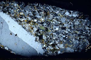 Cross Polarized, S61331/A