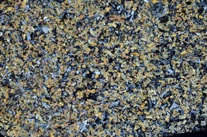 Cross Polarized, S61332