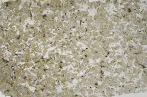 Plane Polarized, S61332