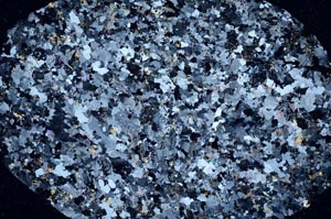 Cross Polarized, S61335