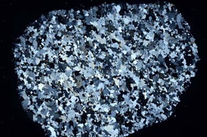 Cross Polarized, S61336