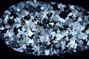 Cross Polarized, S61337