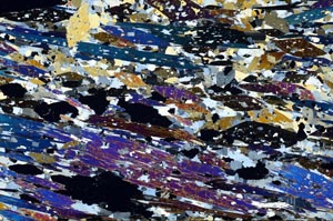 Cross Polarized, S61338