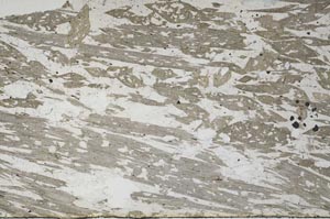 Plane Polarized, S61338