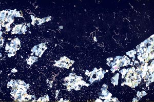 Cross Polarized, S61339